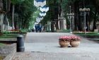Take a walk in Druskininkai