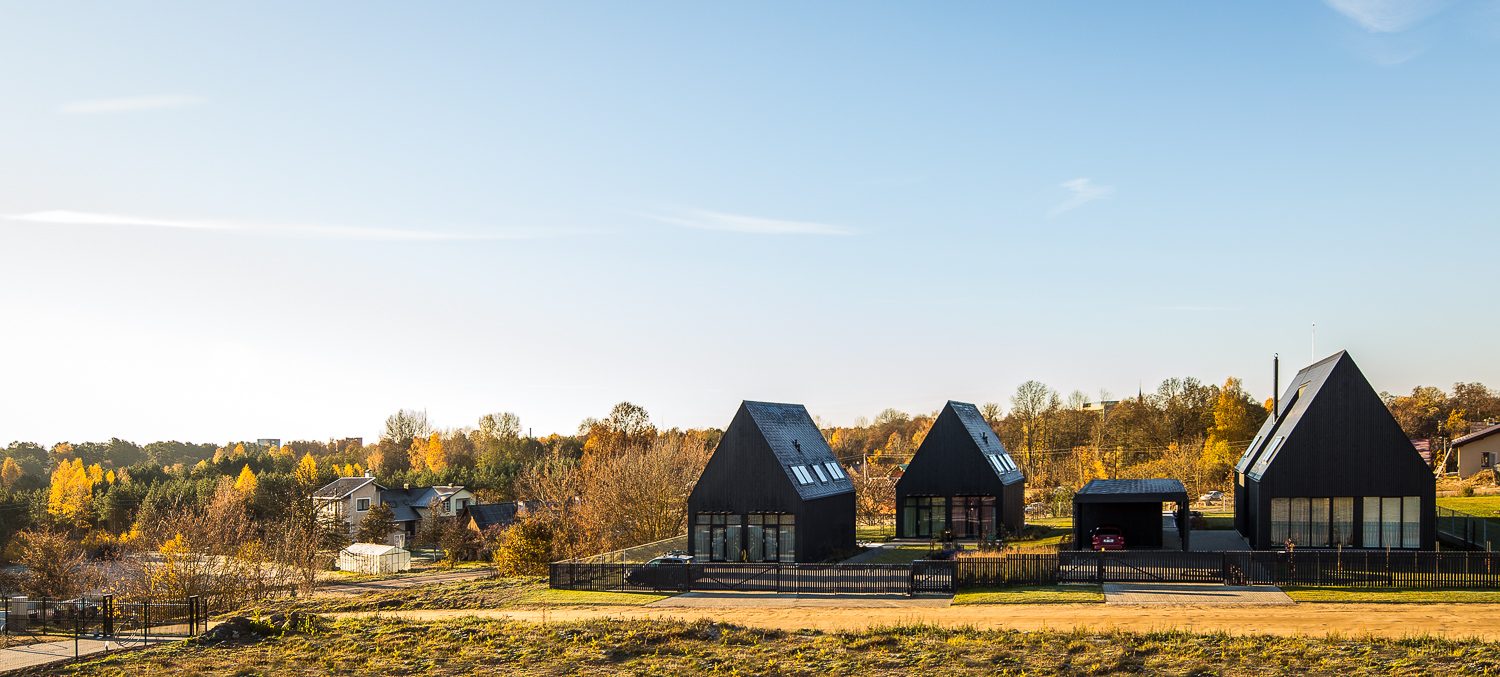 Domi Lini in autumn