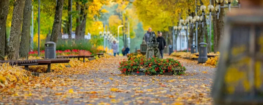 Real golden autumn promenade in the centre of Druskininkai
