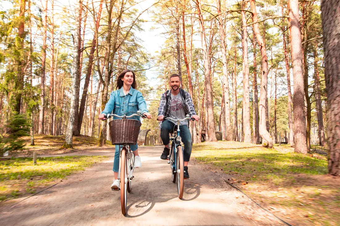Zwei Radfahrer auf einem Weg durch einen Kiefernwald bei Druskininkai
