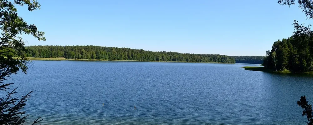 Озеро Авирис недалеко от Друскининкай