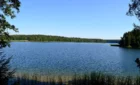 Озеро Авирис и лесистый берег недалеко от Друскининкай, Литва