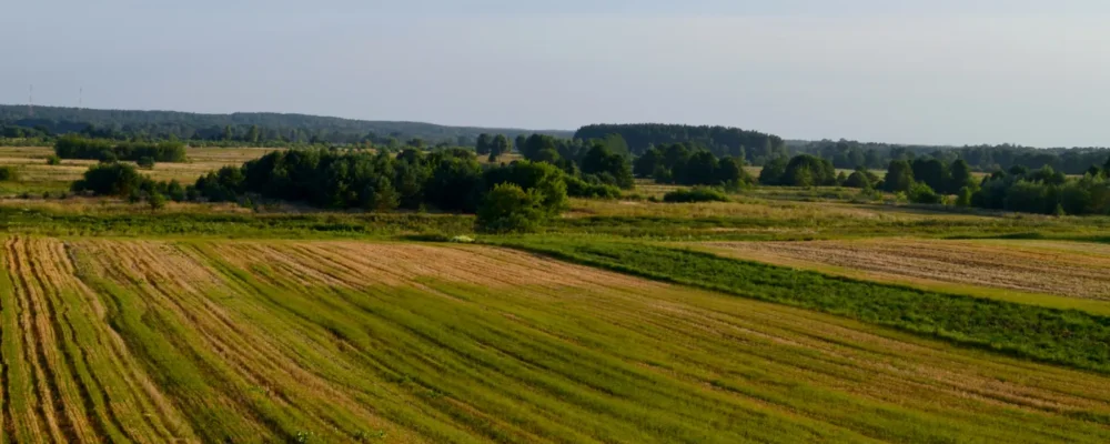 Panoramic view over Raigardas Valley from Švendubrė near Druskininkai
