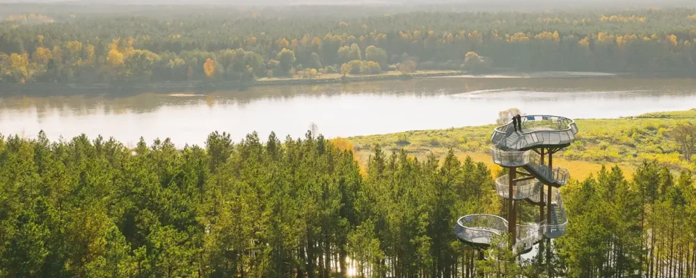Merkinė observation tower and forests near Druskininkai